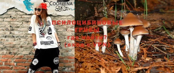амф Пересвет