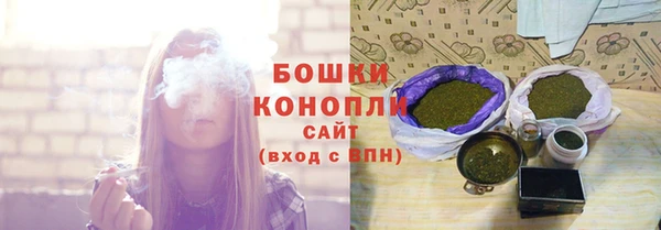 дурь Осташков