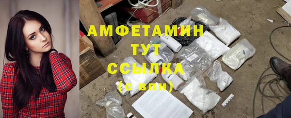 дурь Осташков