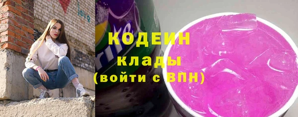 дурь Осташков
