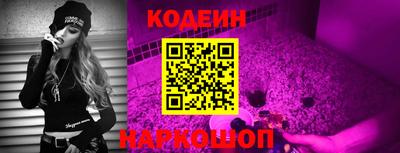 МДПВ Дубна
