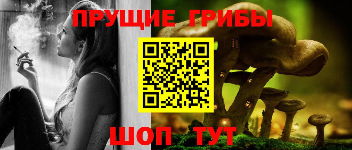 Псилоцибиновые грибы Psilocybe  Вход с VPN  Сарапул 