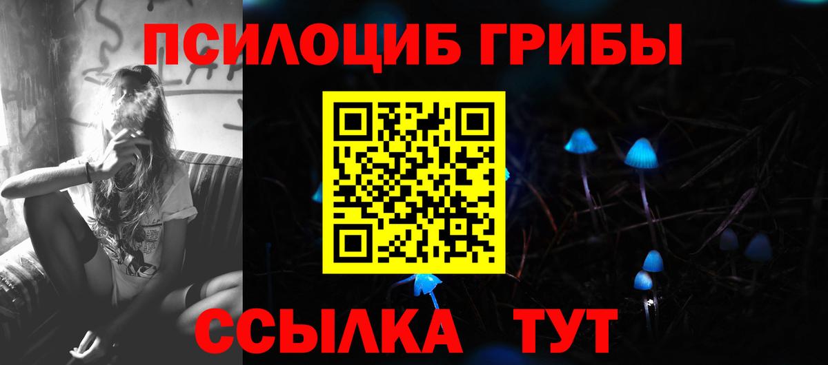 Галлюциногенные грибы GOLDEN TEACHER Сарапул